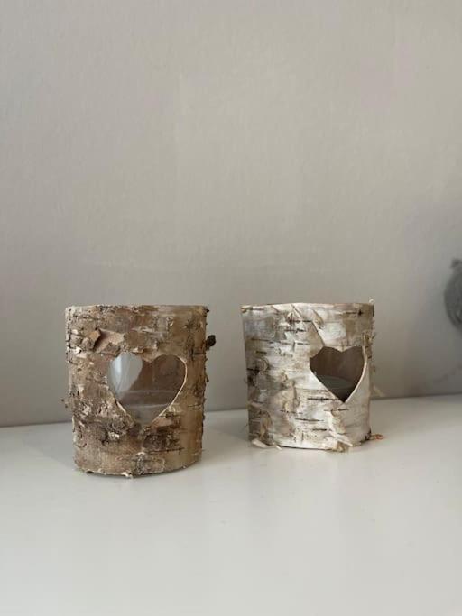 La Taniere De L'Ours - L'Alcove De L'Ours - Chambre Cosy 2 Pers Dambach المظهر الخارجي الصورة